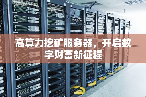 高算力挖矿服务器，开启数字财富新征程