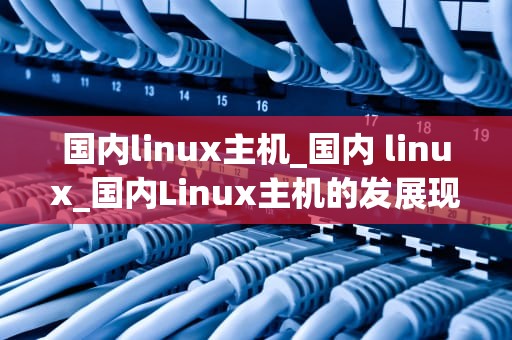 国内linux主机_国内 linux_国内Linux主机的发展现状与未来展望