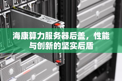 海康算力服务器后盖，性能与创新的坚实后盾