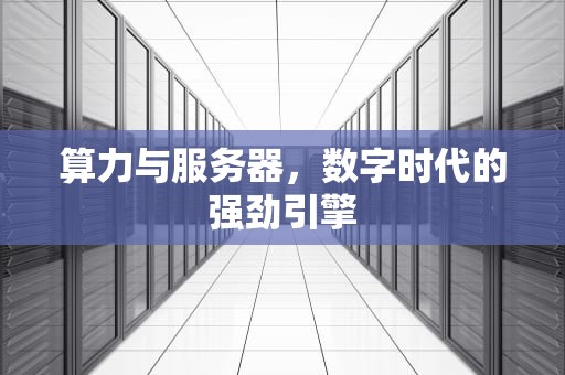 算力与服务器，数字时代的强劲引擎