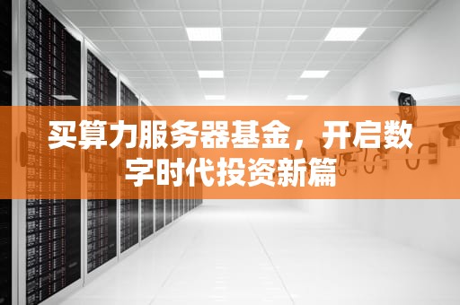 买算力服务器基金，开启数字时代投资新篇