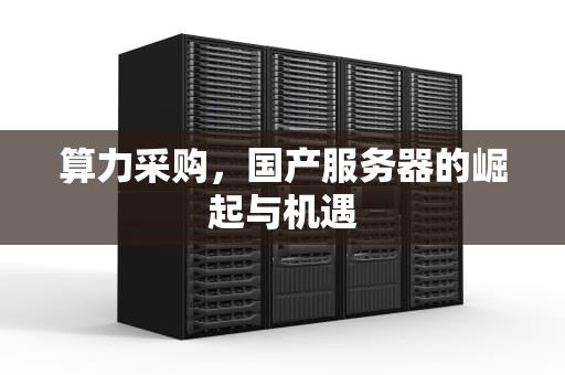 算力采购，国产服务器的崛起与机遇