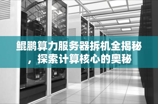 鲲鹏算力服务器拆机全揭秘，探索计算核心的奥秘