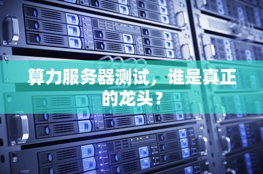 算力服务器测试，谁是真正的龙头？