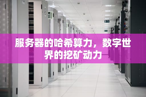 服务器的哈希算力，数字世界的挖矿动力