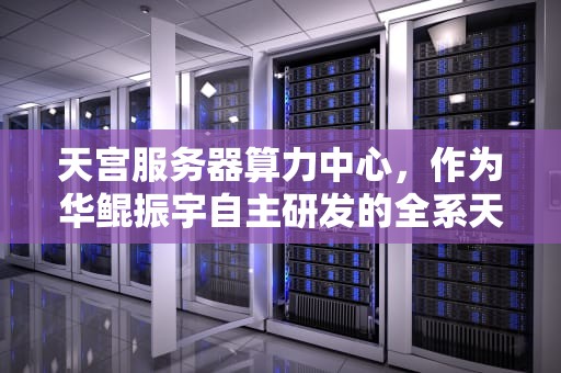 天宫服务器算力中心，作为华鲲振宇自主研发的全系天宫智能计算产品的重要组成部分，正以其卓越的性能和广泛的应用领域，成为业界关注的焦点。