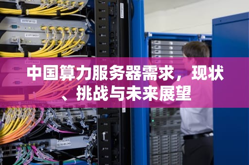 中国算力服务器需求，现状、挑战与未来展望