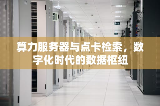 算力服务器与点卡检索，数字化时代的数据枢纽