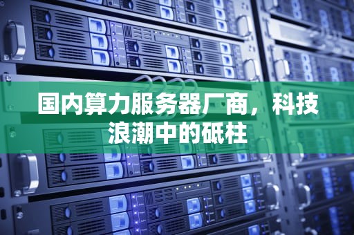 国内算力服务器厂商，科技浪潮中的砥柱