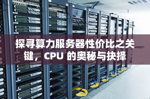 探寻算力服务器性价比之关键，CPU 的奥秘与抉择