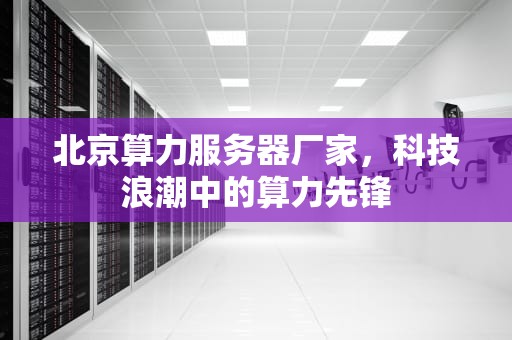 北京算力服务器厂家，科技浪潮中的算力先锋