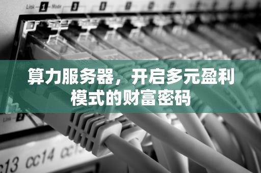 算力服务器，开启多元盈利模式的财富密码