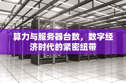 算力与服务器台数，数字经济时代的紧密纽带