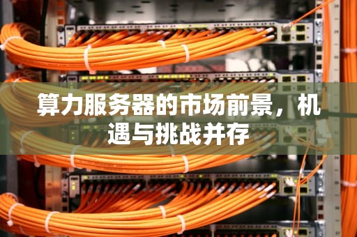 算力服务器的市场前景，机遇与挑战并存