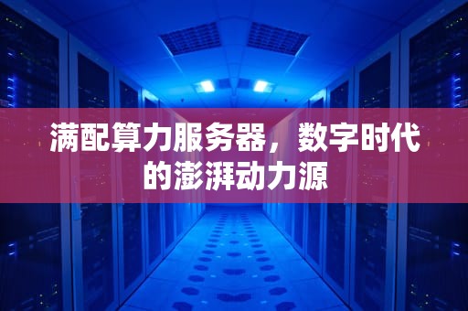 满配算力服务器，数字时代的澎湃动力源
