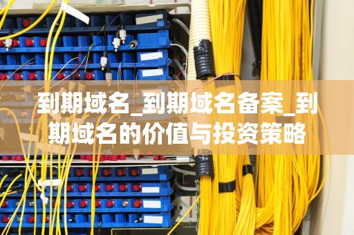 到期域名_到期域名备案_到期域名的价值与投资策略