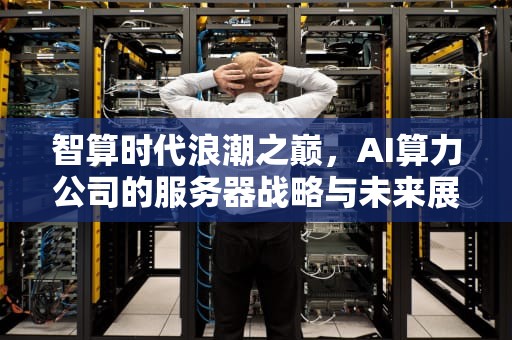 智算时代浪潮之巅，AI算力公司的服务器战略与未来展望