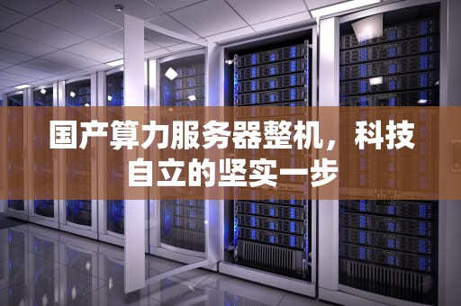 国产算力服务器整机，科技自立的坚实一步