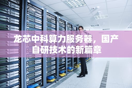 龙芯中科算力服务器，国产自研技术的新篇章