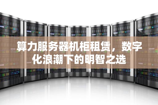 算力服务器机柜租赁，数字化浪潮下的明智之选