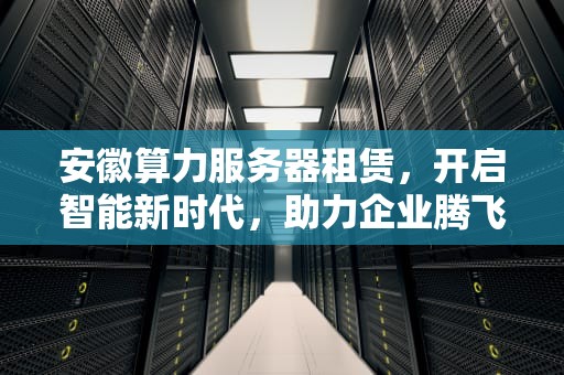 安徽算力服务器租赁，开启智能新时代，助力企业腾飞
