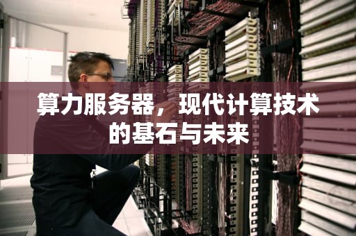 算力服务器，现代计算技术的基石与未来