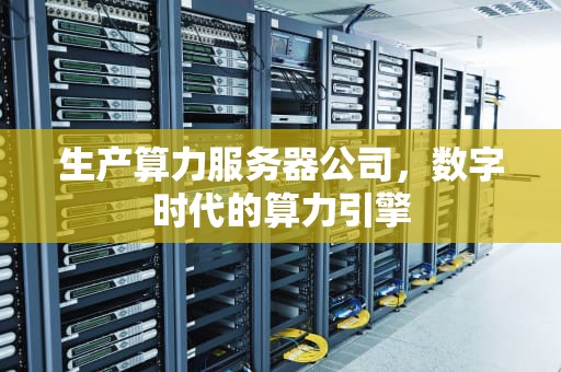 生产算力服务器公司，数字时代的算力引擎