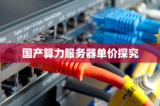 国产算力服务器单价探究