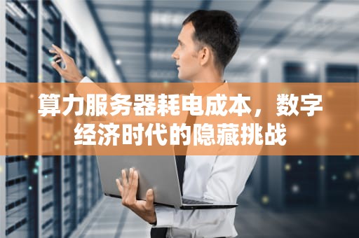 算力服务器耗电成本，数字经济时代的隐藏挑战