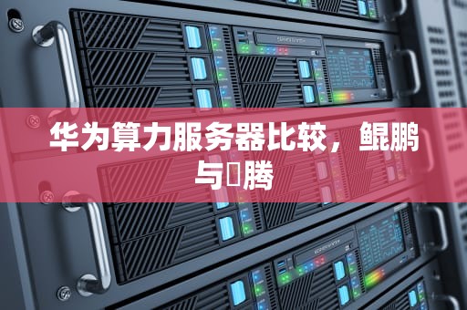 华为算力服务器比较，鲲鹏与昇腾