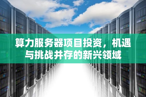 算力服务器项目投资，机遇与挑战并存的新兴领域