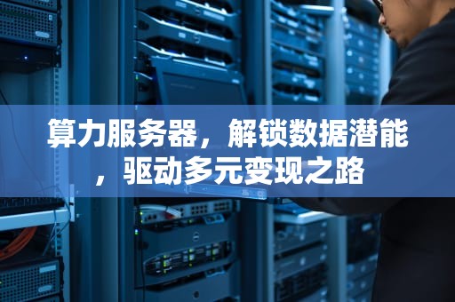 算力服务器，解锁数据潜能，驱动多元变现之路