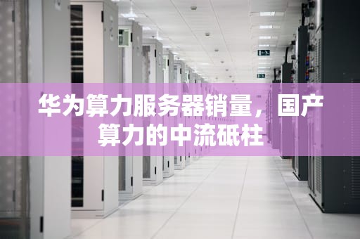 华为算力服务器销量，国产算力的中流砥柱