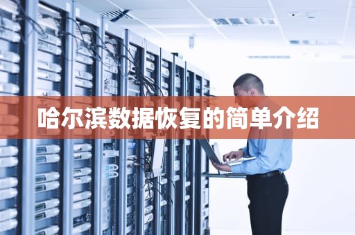 哈尔滨数据恢复的简单介绍