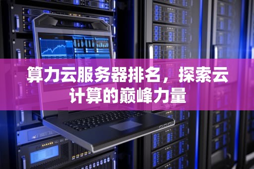 算力云服务器排名，探索云计算的巅峰力量
