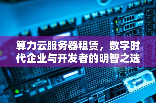 算力云服务器租赁，数字时代企业与开发者的明智之选