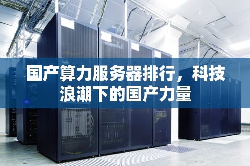 国产算力服务器排行，科技浪潮下的国产力量