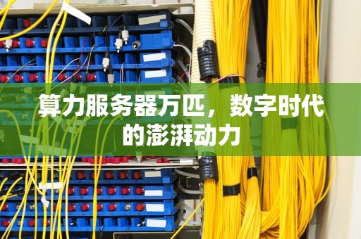 算力服务器万匹，数字时代的澎湃动力