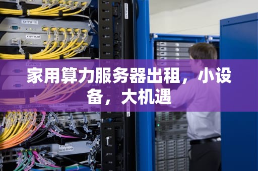 家用算力服务器出租，小设备，大机遇