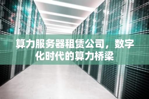 算力服务器租赁公司，数字化时代的算力桥梁