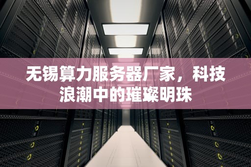 无锡算力服务器厂家，科技浪潮中的璀璨明珠