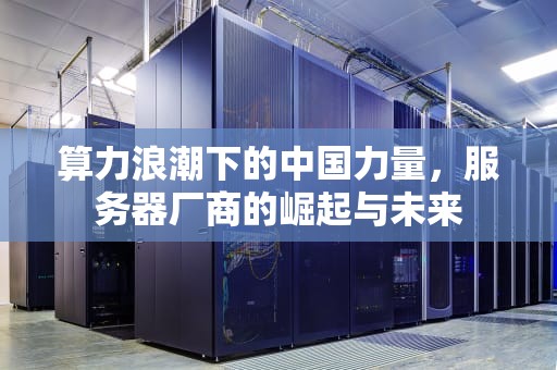 算力浪潮下的中国力量，服务器厂商的崛起与未来