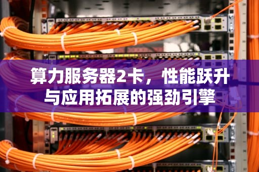 算力服务器2卡，性能跃升与应用拓展的强劲引擎