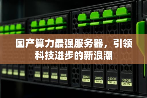 国产算力最强服务器，引领科技进步的新浪潮