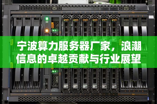 宁波算力服务器厂家，浪潮信息的卓越贡献与行业展望