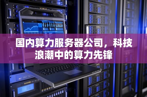 国内算力服务器公司，科技浪潮中的算力先锋