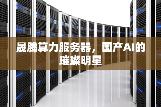 晟腾算力服务器，国产AI的璀璨明星