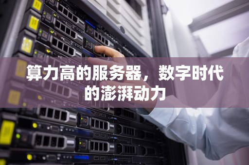 算力高的服务器，数字时代的澎湃动力