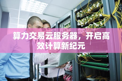 算力交易云服务器，开启高效计算新纪元