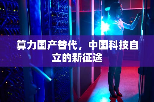 算力国产替代，中国科技自立的新征途